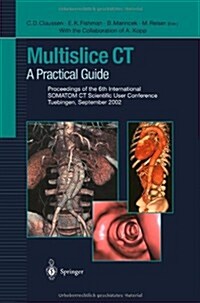 Multislice CT: A Practical Guide Proceedings of the 6th International Somatom CT Scientific User Conference Tuebingen, September 2002 (Paperback, Softcover Repri)