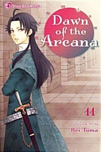 Dawn of the Arcana, Vol. 11 (Paperback)