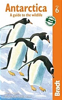 Antarctica : A Guide to the Wildlife (Paperback, 6 Revised edition)