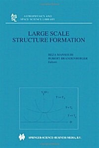 Large Scale Structure Formation (Paperback, Softcover Repri)