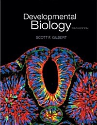 [중고] Developmental Biology (Hardcover, 10)