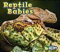 Reptile Babies (Library Binding)