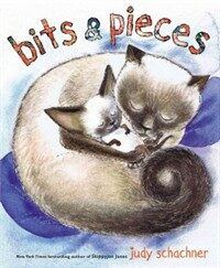 Bits & Pieces (Hardcover)