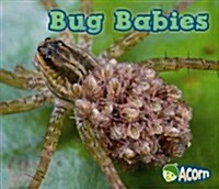 Bug Babies (Hardcover)