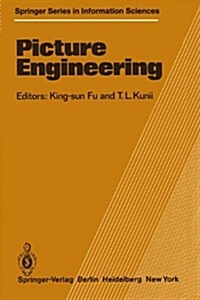 Picture Engineering (Paperback, Softcover Repri)