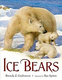 Ice Bears (Paperback)