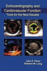 Echocardiography and Cardiovascular Function: Tools for the Next Decade (Paperback, Softcover Repri)