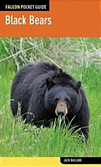 Black Bears (Paperback)