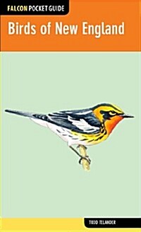 Birds of New England (Paperback)