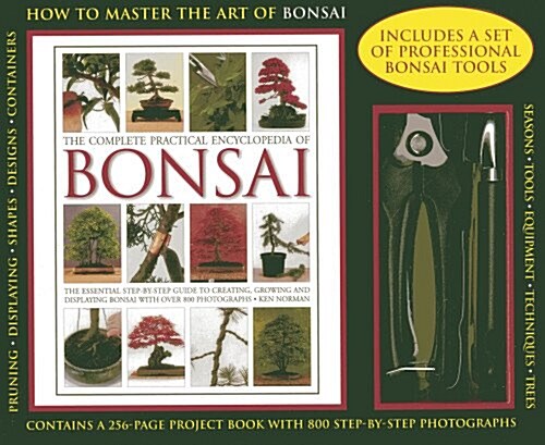 How to Master the Art of Bonsai (Paperback)