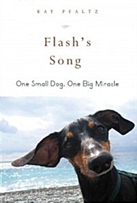 Flashs Song: How One Small Dog Turned Into One Big Miracle (Hardcover)