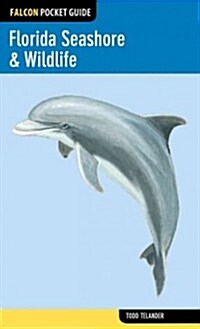 Florida Seashore & Wildlife (Paperback)