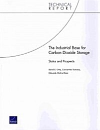 The Industrial Base for Carbon Dioxide Storage: Status and Prospects (Paperback)