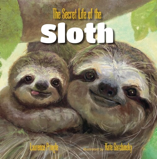The Secret Life of the Sloth (Hardcover)