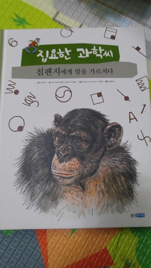 [중고] 침팬지에게 말을 가르치다