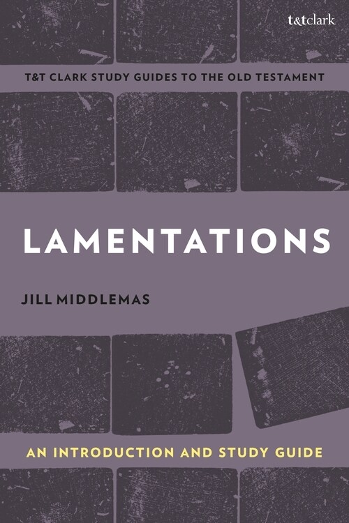 Lamentations : An Introduction and Study Guide (Hardcover)