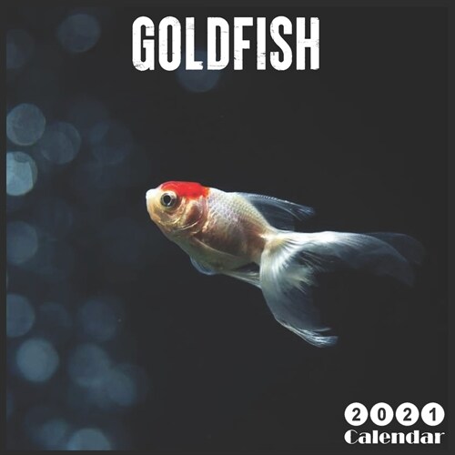 Goldfish 2021 Calendar: Official Goldfish 2021 Wall Calendar 18 Months (Paperback)