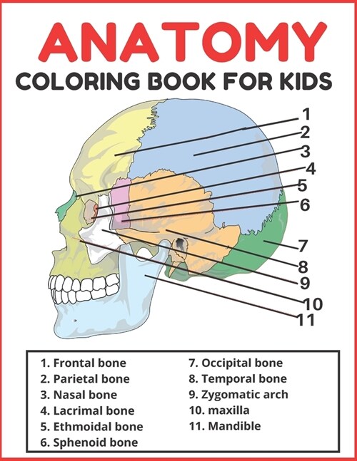 Anatomy coloring book for kids: A human body activity book for kids to know more about the body and how it works (Paperback)