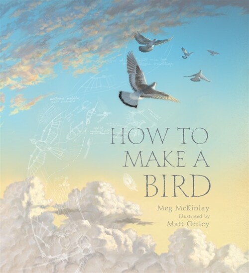 How to Make a Bird (Hardcover)