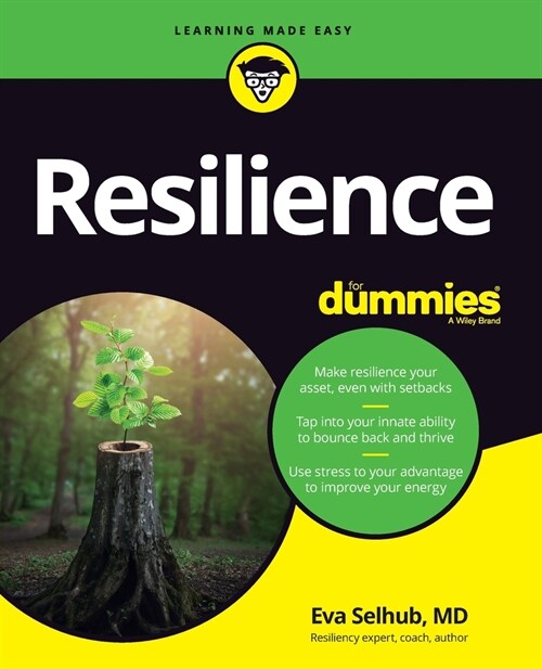 Resilience for Dummies (Paperback)
