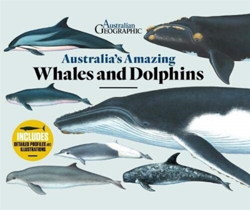 Australias Amazing Whales and Dolphins (Hardcover)