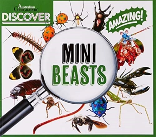 Australian Geographic Discover: Minibeasts (Paperback)