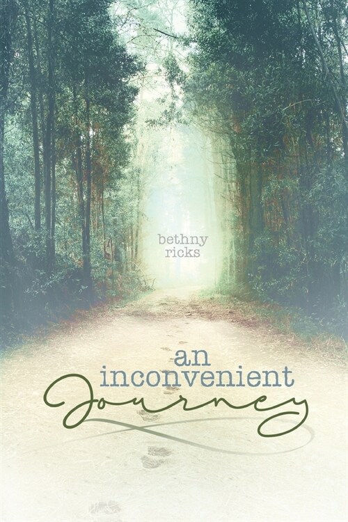 An inconvenient journey (Paperback)