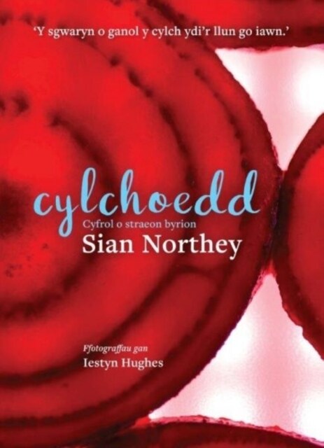 Cylchoedd (Paperback)