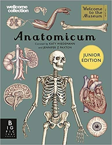 Anatomicum Junior (Hardcover)