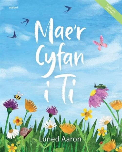 Maer Cyfan i Ti (Paperback)