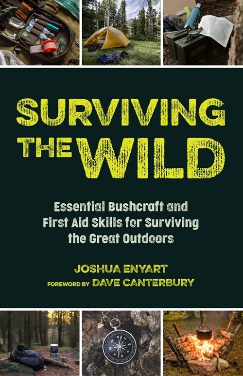 Surviving the Wild: Essential Bushcraft and First Aid Skills for Surviving the Great Outdoors (Wilderness Survival) (Paperback)