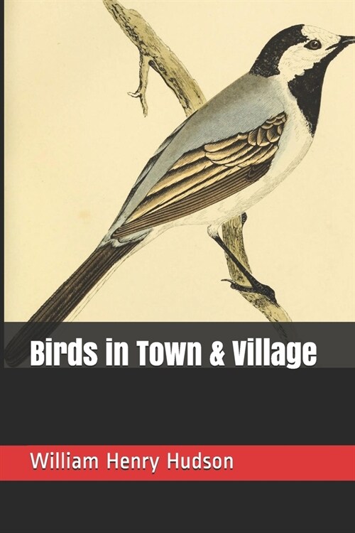 Birds in Town & Village (Paperback)