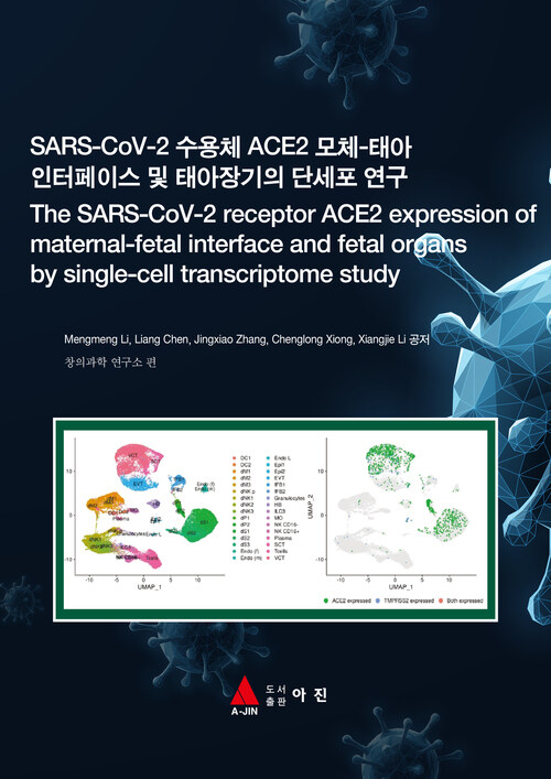 SARS-CoV-2 수용체 ACE2 모체-태아 인터페이스 및 태아장기의 단세포 연구