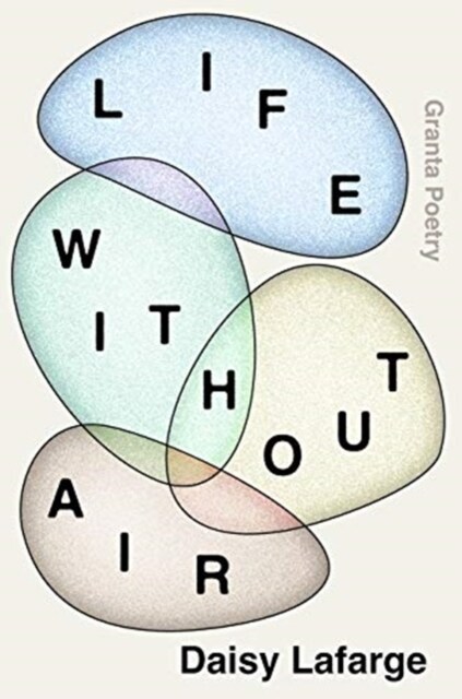Life Without Air (Paperback)