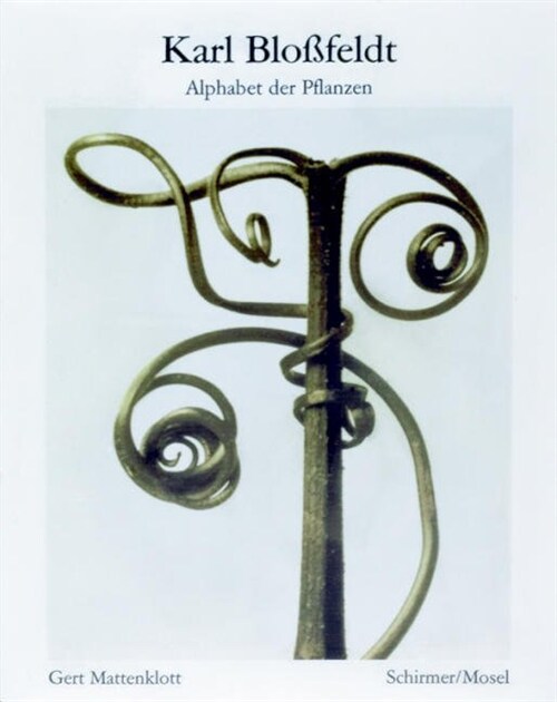 Karl Blossfeldt: Alphabet of Plants (Paperback, 3 New edition)