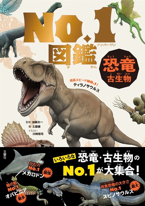 No.1 Illustrated Book (Paperback)