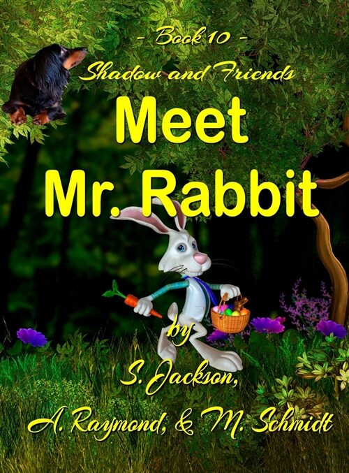 Shadow and Friends Meet Mr. Rabbit (Hardcover)