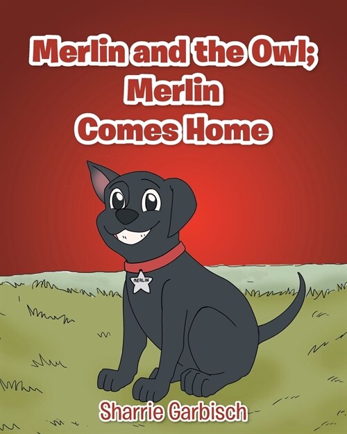 Merlin and the Owl: Merlin Comes Home (Paperback)