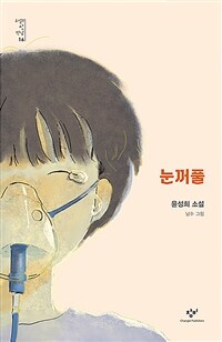 눈꺼풀 :윤성희 소설 