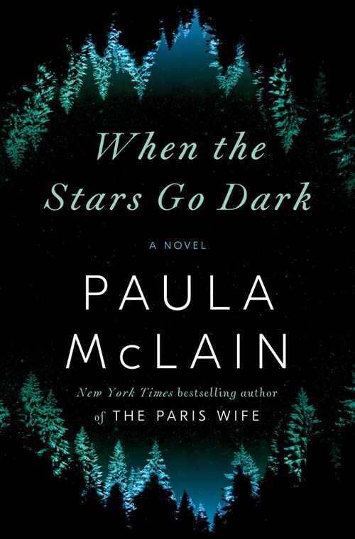 When the Stars Go Dark (Hardcover)