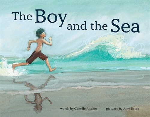 The Boy and the Sea (Hardcover)