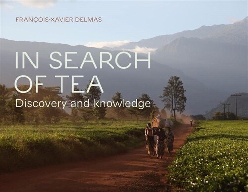 In Search of Tea: Discovery and Knowledge (Paperback)