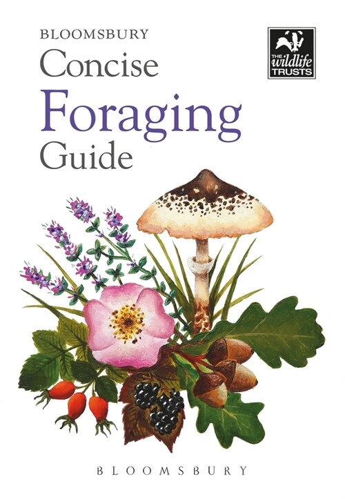Concise Foraging Guide (Paperback)