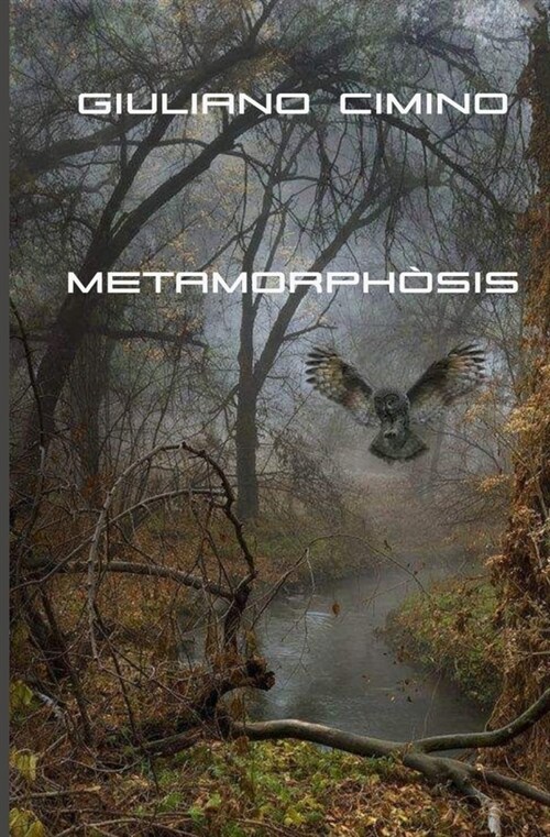 Metamorph?is (Paperback)