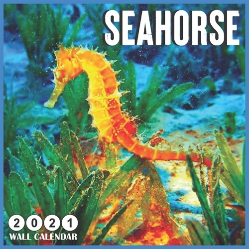 Seahorse 2021 wall calendar: 18 Monthly Square Calendar 2021 (Paperback)