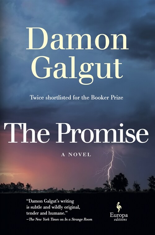 The Promise: A Novel (Booker Prize Winner) (Hardcover)
