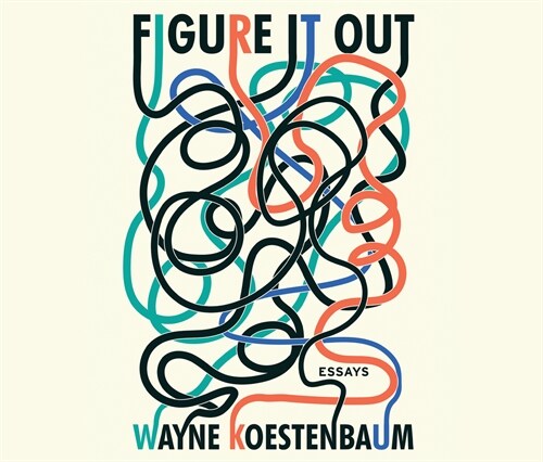 Figure It Out: Essays (Audio CD)