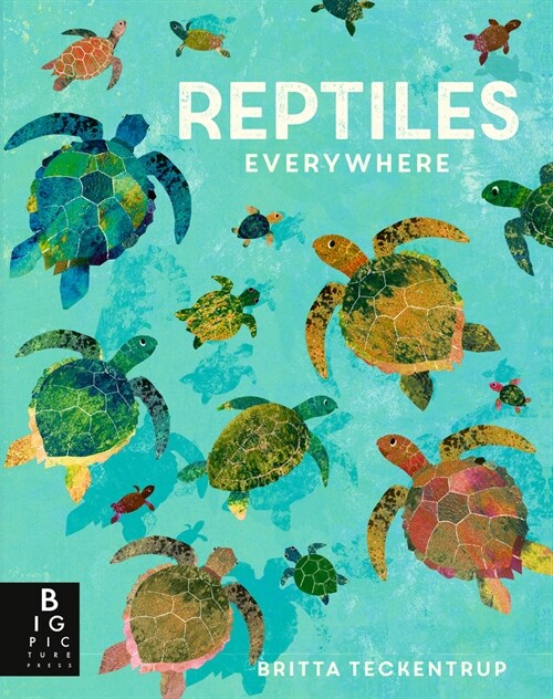 Reptiles Everywhere (Hardcover)