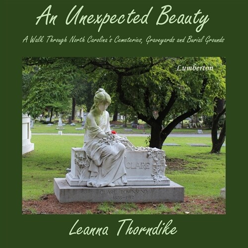 An Unexpected Beauty (Paperback)