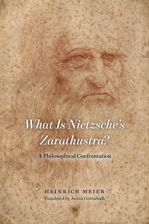 What Is Nietzsches Zarathustra?: A Philosophical Confrontation (Hardcover)